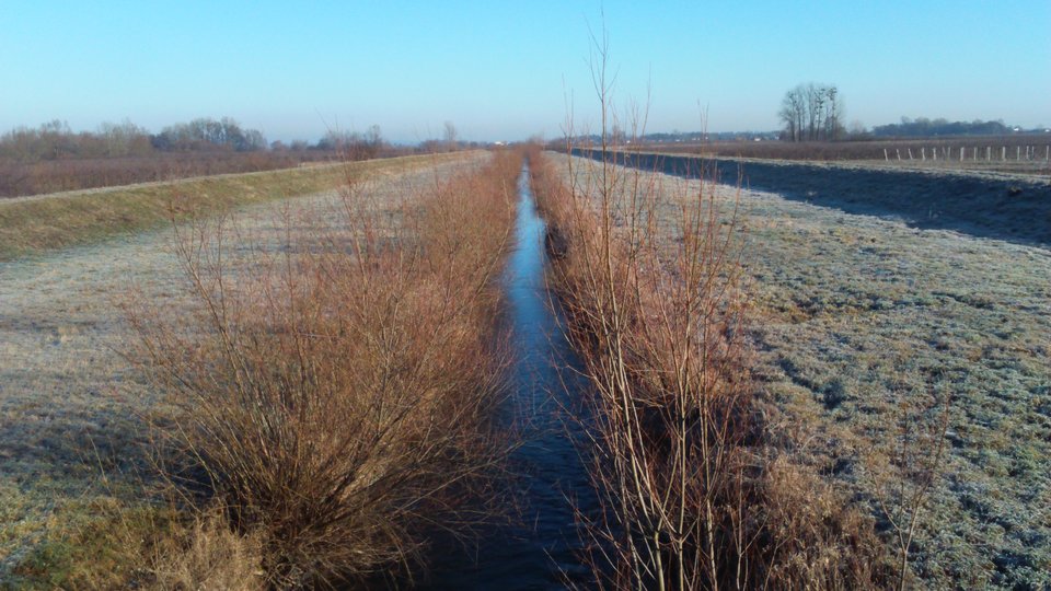 DSC_0031.JPG - Sandomierski_widok