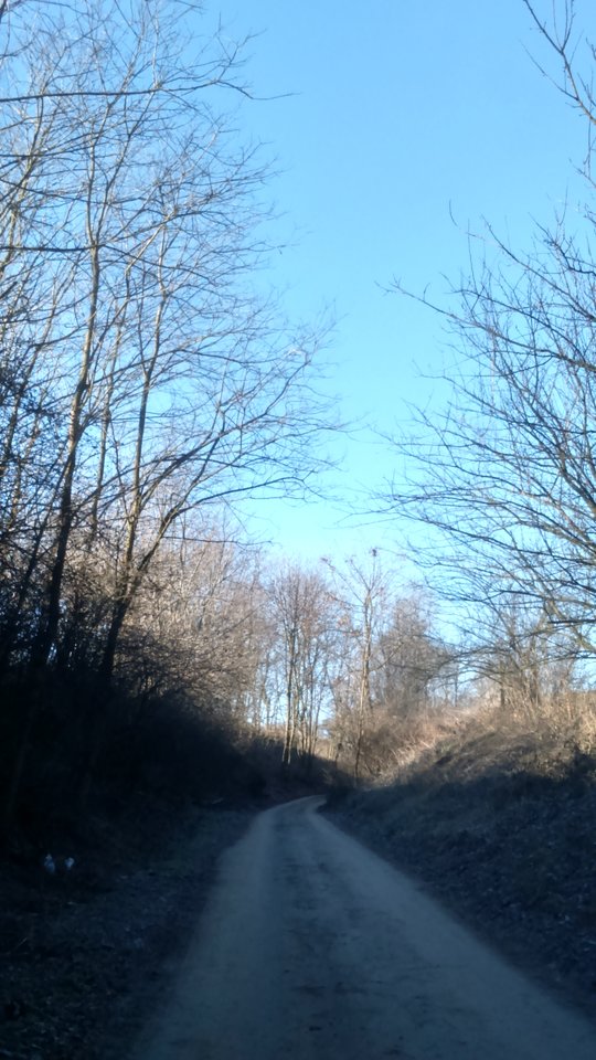 DSC_0036.JPG - Sandomierski_widok