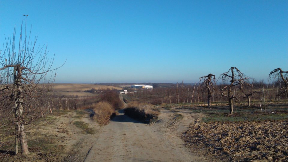 DSC_0041.JPG - Sandomierski_widok