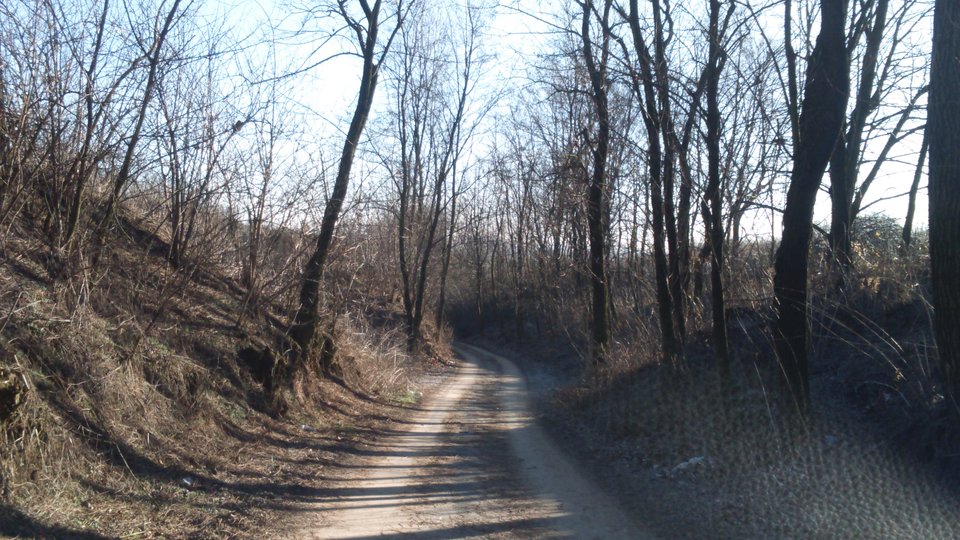 DSC_0044.JPG - Sandomierski_widok