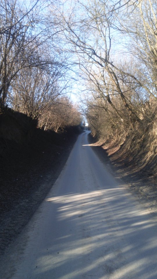 hmmm - Sandomierski_widok