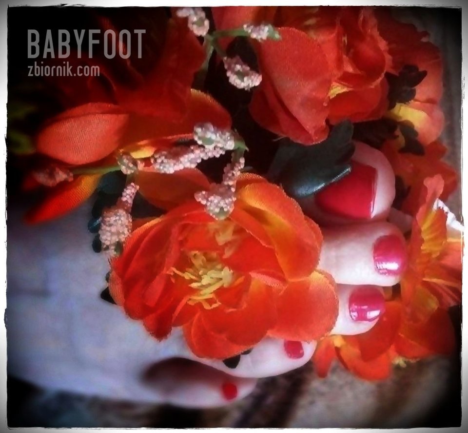 w kwiatkach - Babyfoot