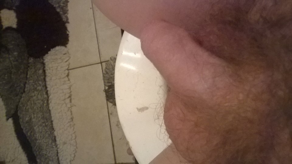 WP_20160113_19_47_23_Pro.jpg - Albert56131