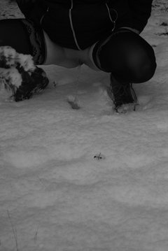 zachciało  się siusiu