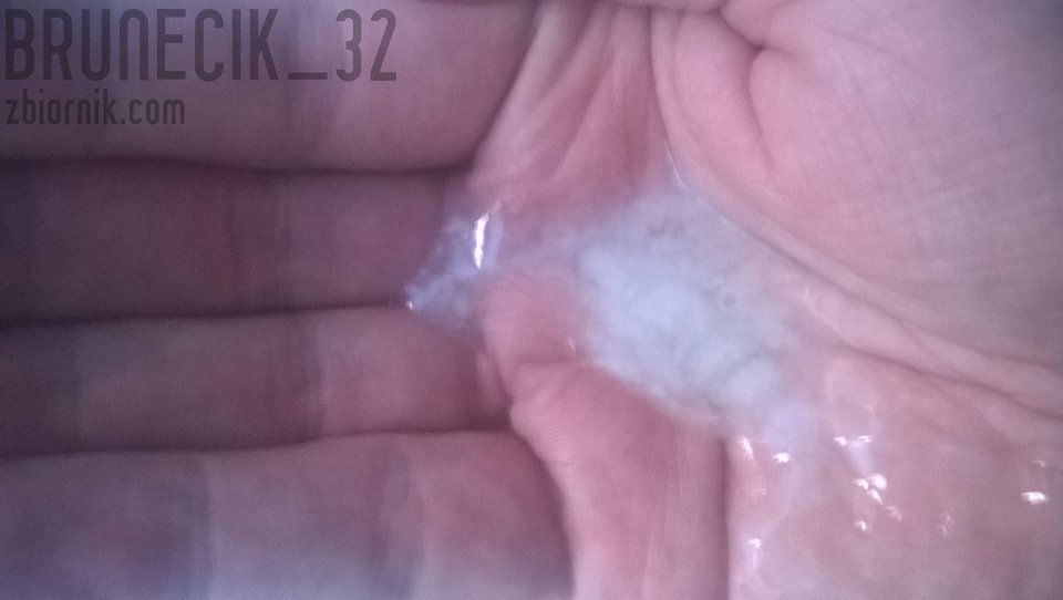 WP_20160116_009.jpg - brunecik_32