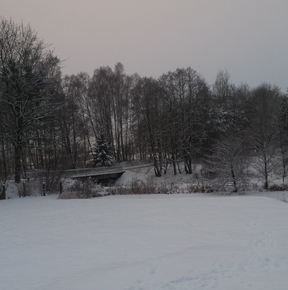 25.jpg - ja2511