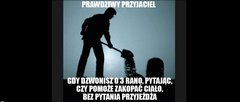 Przyjaciel prawdziwy.jpg