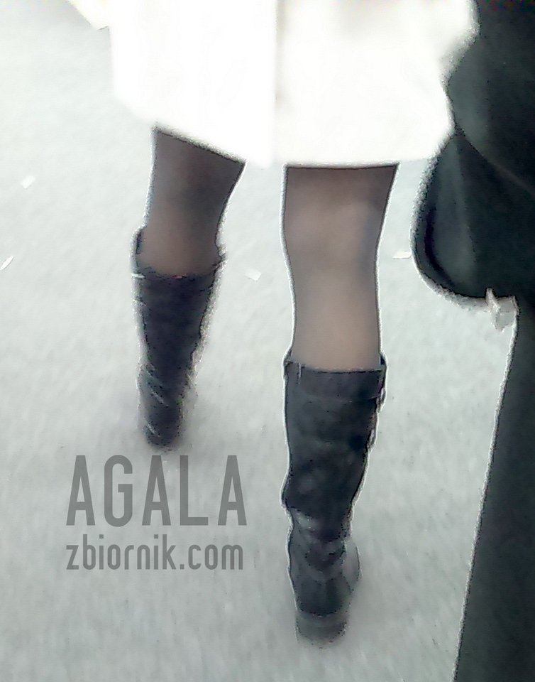 DSC_4214v.jpg - AGALA