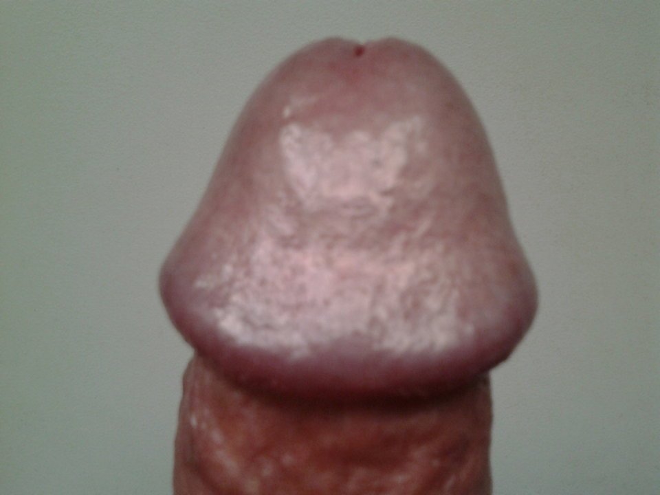 Zdjęcie0891.jpg - kelobab