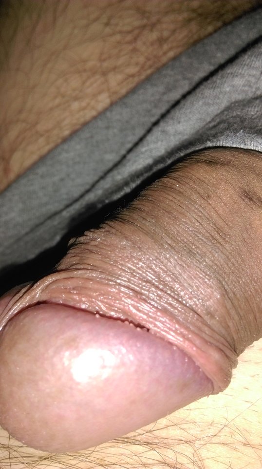 IMAG0111.jpg - swistt