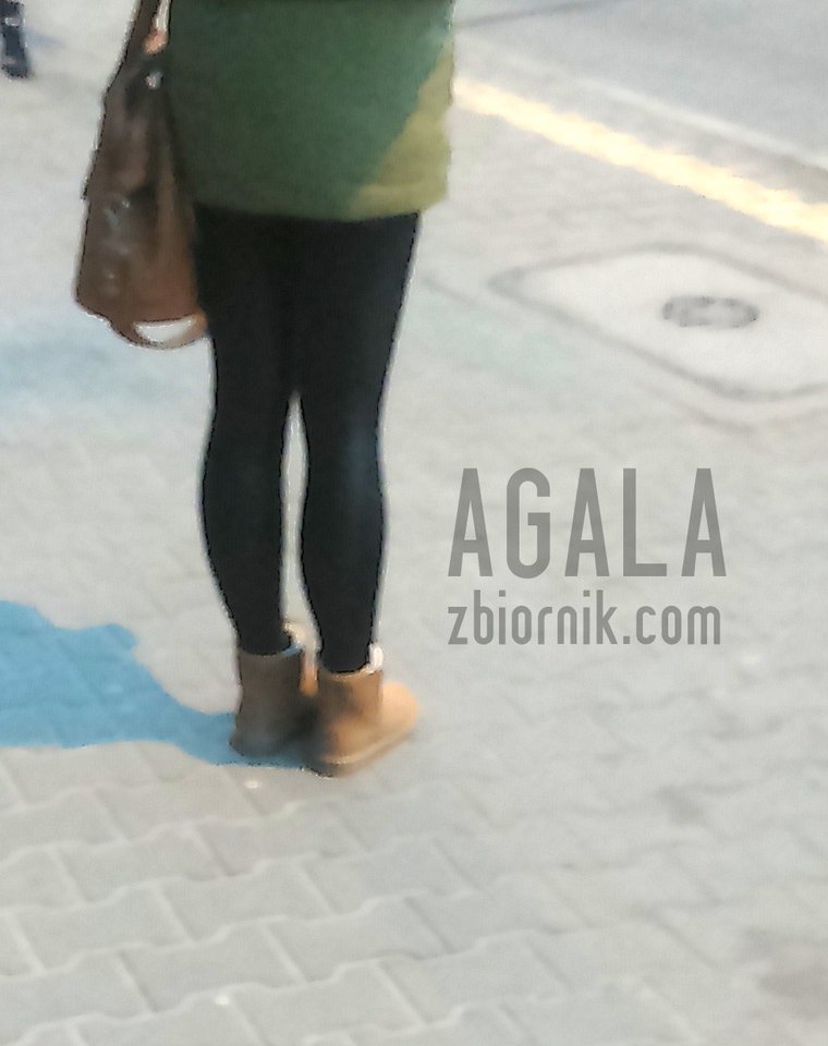 DSC_4292L.jpg - AGALA