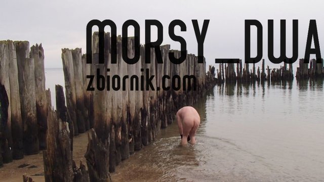 Nabieranie II - Morsy_dwa