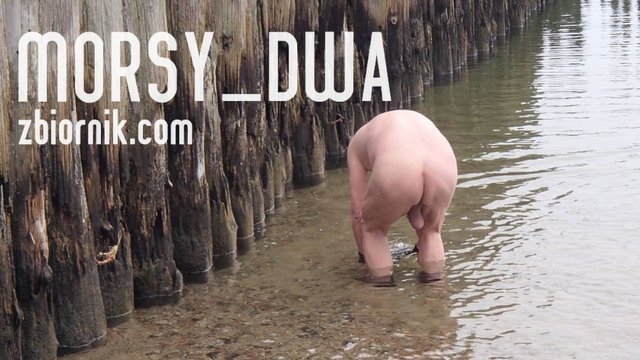 Nabieranie - Morsy_dwa