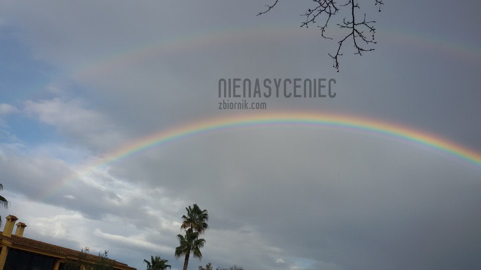Tecza wczoraj - Nienasyceniec