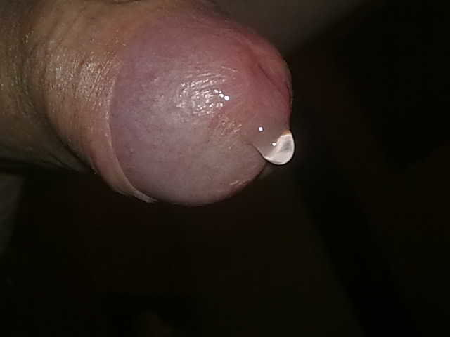 201602061212.jpg - ciekawski72