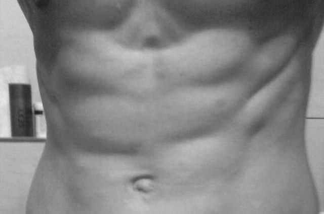 dsc_03942.jpg - forpus