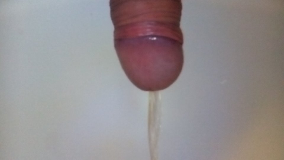 IMG_20160221_055839.jpg - robercu