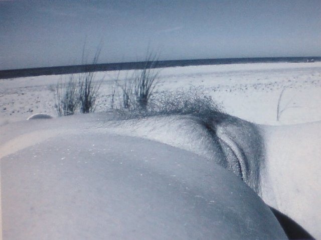 zarośla.JPG - superdrive40