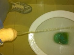 pissing in the toilet.JPG