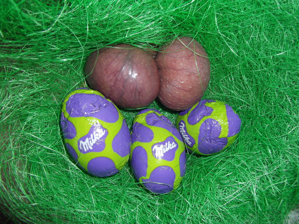 DSCF6761.JPG - paraHH16