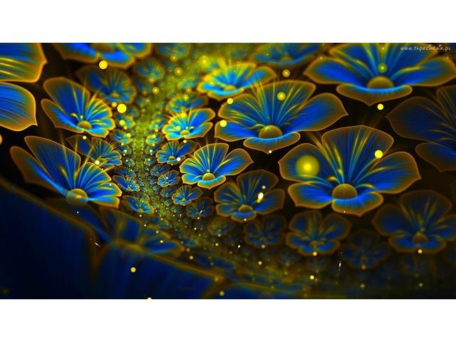 tapeciarnia_pl.php (Copy).jpg - Samotny75ON