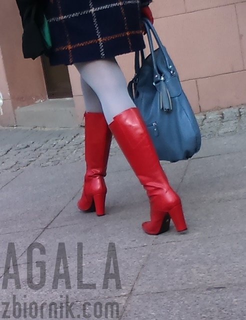 DSC_4826v.jpg - AGALA