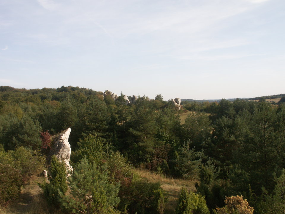 PICT0001.JPG - gg1975