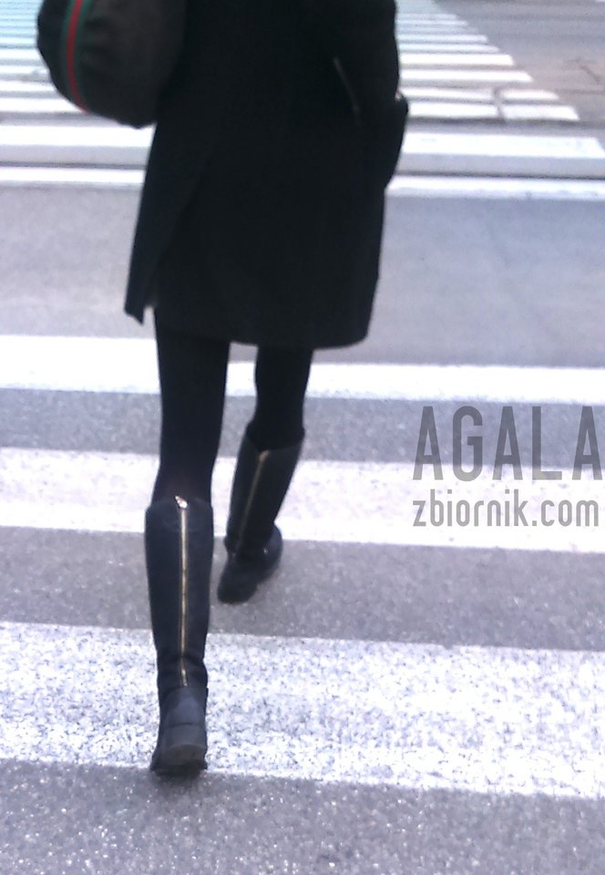DSC_5120cz.jpg - AGALA