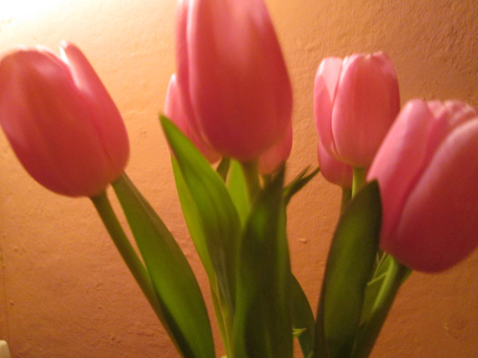 Obraz 015.jpg - DajeWam