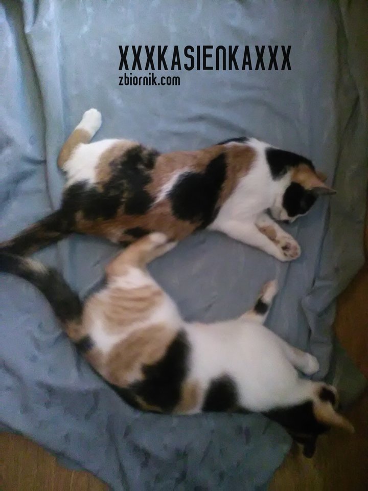 juz po biedulki na rauszu - xxxkasienkaxxx