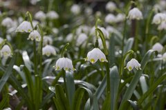 Wiosennie... w końcu!