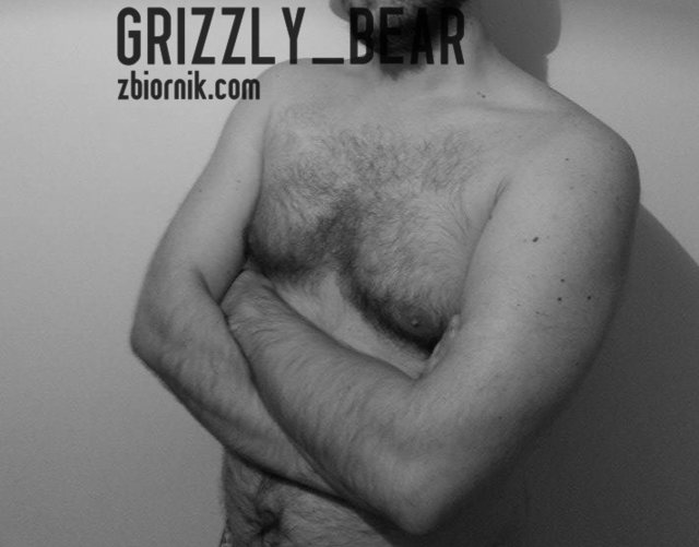 grizzly_bear