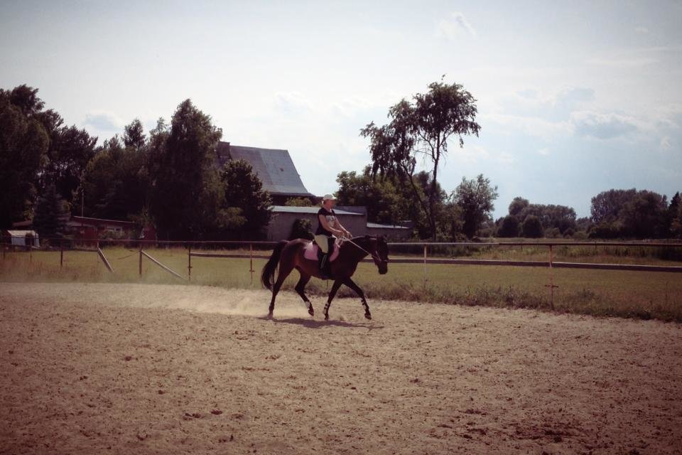 10420225_703647429696429_3215711402962646797_n.jpg - BlackMare