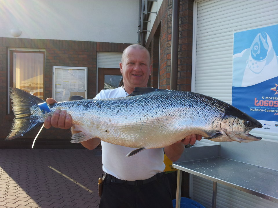 20140426_165422.jpg - hoop1