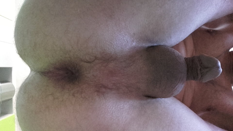 Analogus - 69rollo69