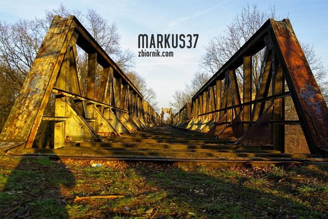 markus37
