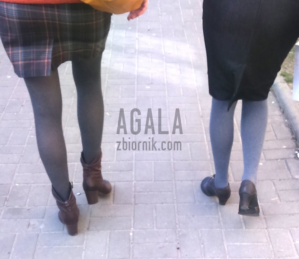 DSC_5401v.jpg - AGALA