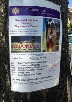 IMG_2855 Hedonism II (Jamaica)