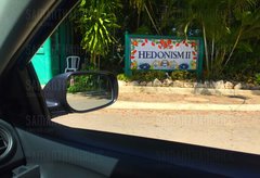 IMG_2849 Hedonism II