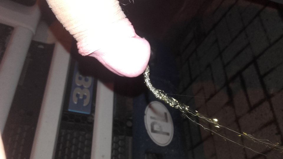 chwila oddechu i wytchnienia - lukascania1