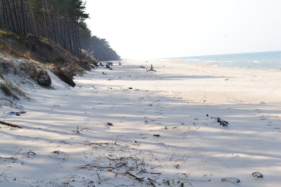 09.04.2016  - debki2012