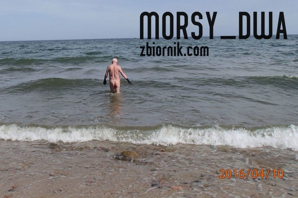 Kąpiel - Morsy_dwa