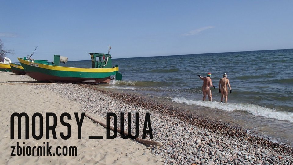 Wyprawa - Morsy_dwa