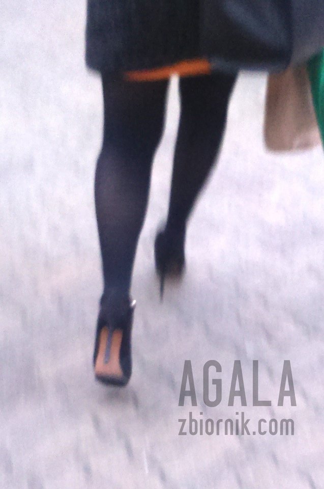 DSC_5618cz.jpg - AGALA