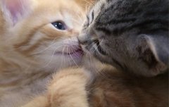 IMG_20160411_082754.jpg