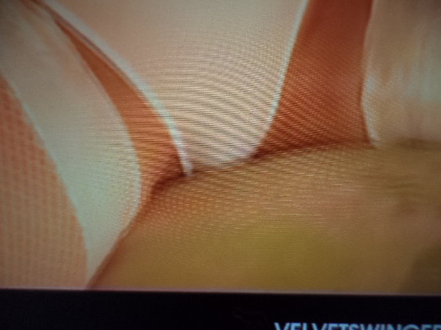 DSC04799.JPG - 160867