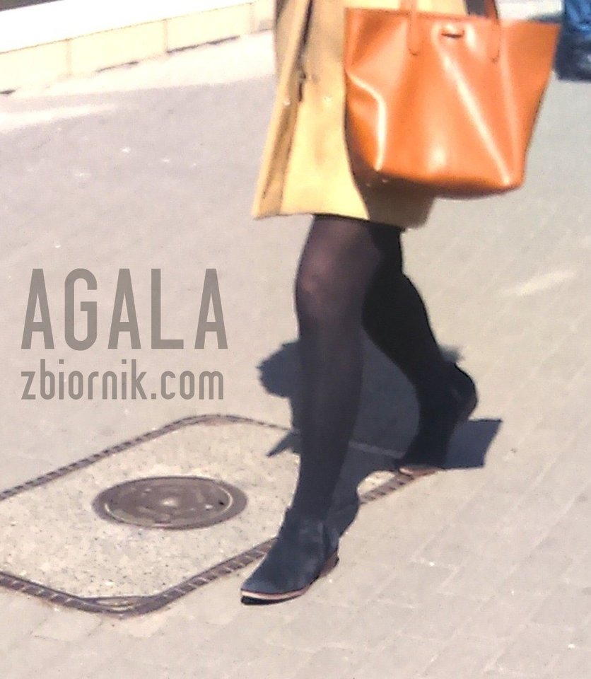 DSC_5918cz.jpg - AGALA