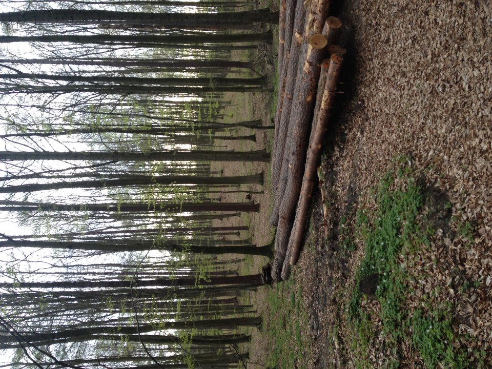 image.jpeg - adzio67