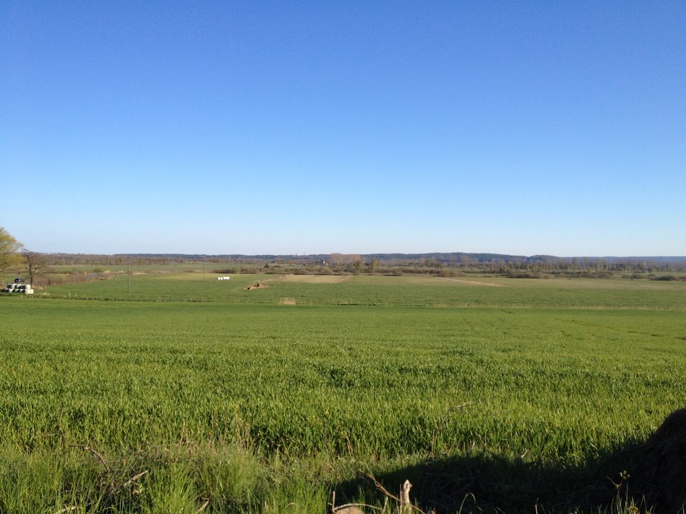 image.jpeg - adzio67