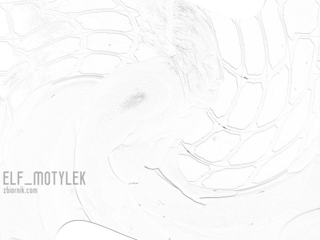 elf_motylek